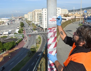 Amiu disinfestazione Zanzare