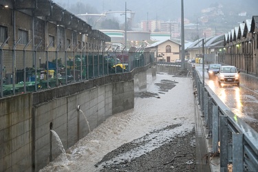 Genova, giornata di allerta meteo