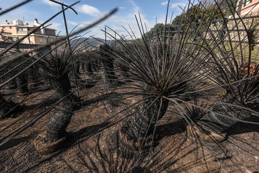 incendio Cogoleto 26032019-1955