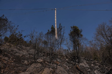 incendio Cogoleto 26032019-2592