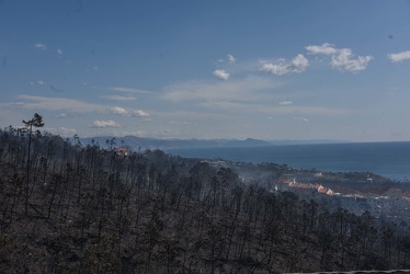 incendio Cogoleto 26032019-2611