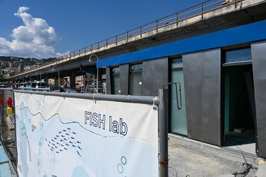 Genova, Darsena - in via di installazione nuovo fish lab