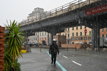 Genova, maltempo allerta neve