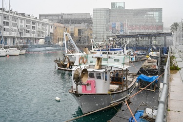 Genova, maltempo allerta neve