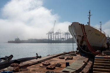 Genova, caligo, nebbia di mare prima dell'inizio del weekend di 