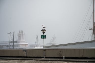 Genova, caligo, nebbia di mare prima dell'inizio del weekend di 