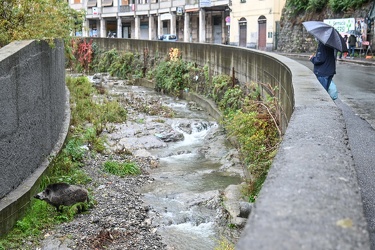 Decennale alluvione 2011 via Fereggiano 03112021-4547