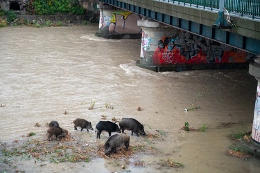 Genova, maltempo allerta arancione domenica