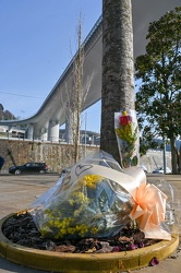 Genova, Certosa - cerimonia radura della memoria 