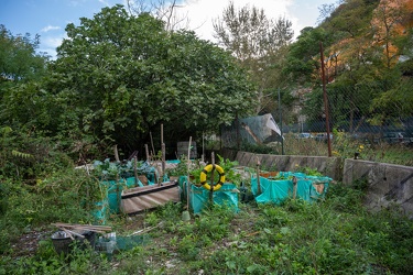 Genova, via Bianco - sgombero centro sociale occupato Terra di N