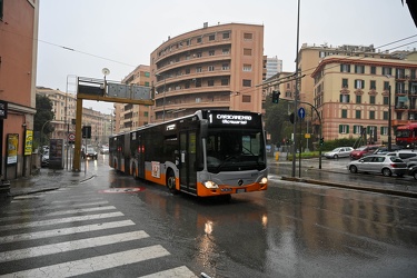 Genova, ammaloramento pilone elicoidale accesso casello Ge Ovest