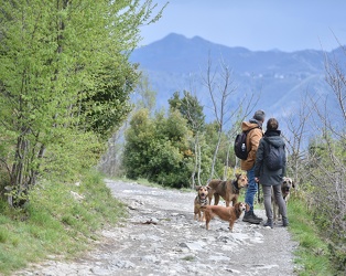 Righi parco trekking cani-3375