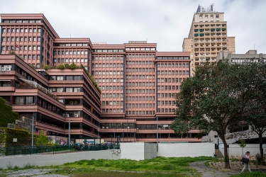 Genova, giardini di plastica, Baltimora