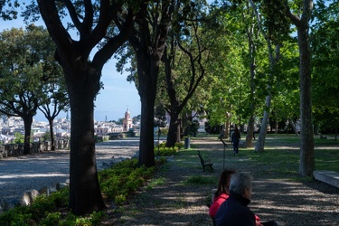 Genova, piano per aumentare il verde urbano