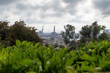 Genova, piano per aumentare il verde urbano