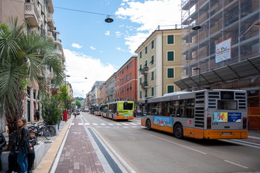 Genova, via Cornigliano - muore a 50 anni, investita da una auto