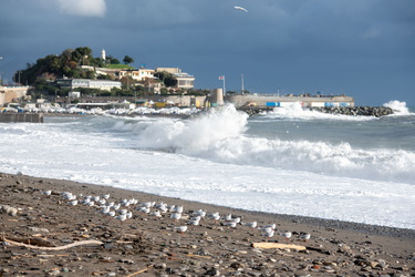 Genova, mareggiata e forte vento