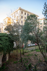 Genova, Albaro - terreni tra via Pisa e via Livorno