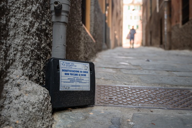 Genova, centro storico - trappole topi derattizzazione