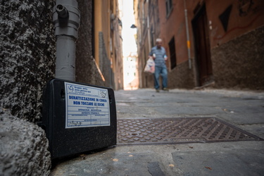 Genova, centro storico - trappole topi derattizzazione