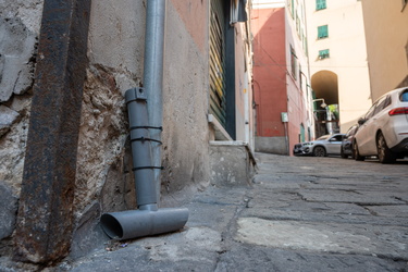 Genova, centro storico - trappole topi derattizzazione