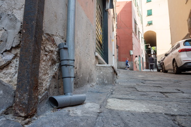 Genova, centro storico - trappole topi derattizzazione