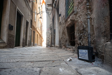 Genova, centro storico - trappole topi derattizzazione