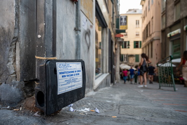 Genova, centro storico - trappole topi derattizzazione