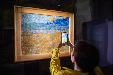 Genova, palazzo ducale - mostra cinque minuti con Van Gogh