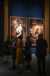 Mostra Rubens Ducale 05102022-02