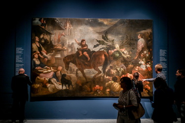 Mostra Rubens Ducale 05102022-48