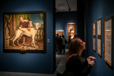 Mostra Rubens Ducale 05102022-56
