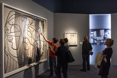 mostra Picasso Ducale 112017-7651