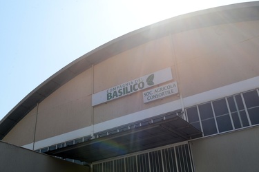 Bastia D'Albenga - Mario Anfossi, azienda agricola