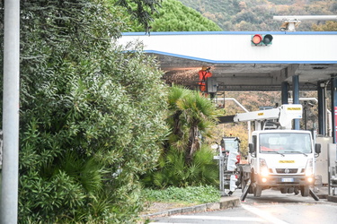 cantiere A12 Nervi 13122023-08