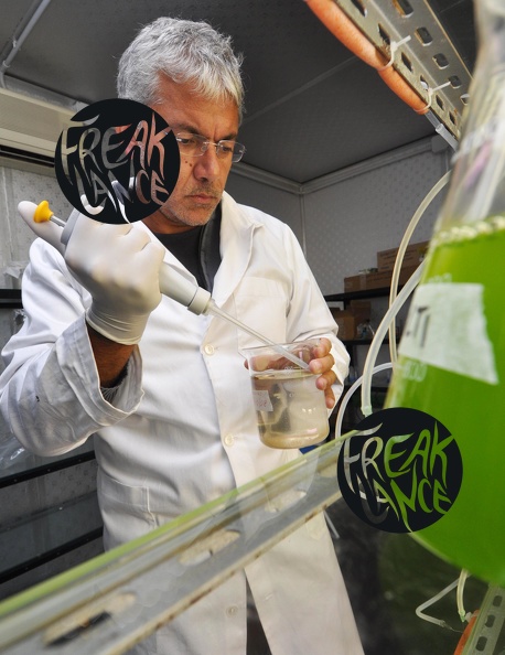 CNR_phD_Faimali_GE008_400.jpg