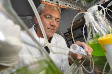 CNR - istituto di scienze marine - phD Marco Faimali