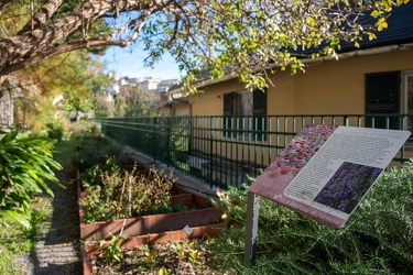 orto botanico Ge19112021