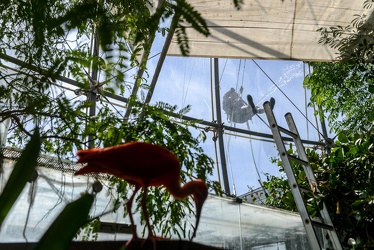 biosfera Renzo Piano