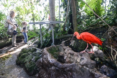 biosfera acquario Ge2014