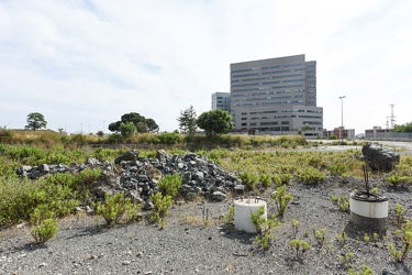 collina erzelli edificio area ingeneria 062016-0763