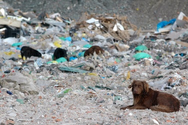 Genova - Discarica Scarpino