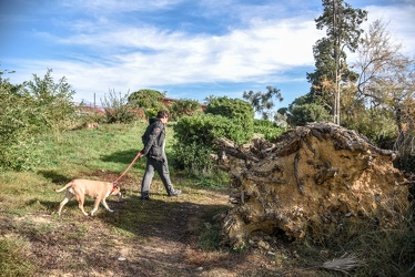 parchi Nervi reportage 112017-9929