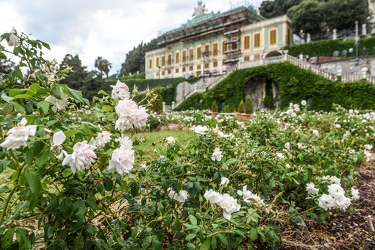 Villa duchessa giardini italiana 052009-6448