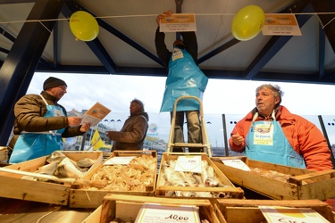 mercato del pesce  Darsena