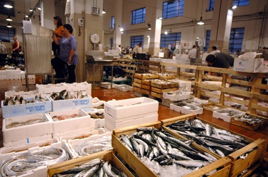Genova mercato del pesce di Piazza Cavour