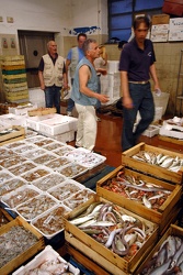 Genova mercato del pesce di Piazza Cavour