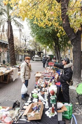 mercato piazza settembrini Ge