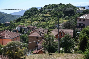 reportage Sant‚ÄôOlcese