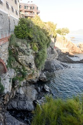 tuffi scogliere levante 23062018-5568